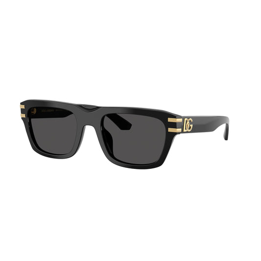 Lunettes de soleil D&G DG4496 501/87 Black