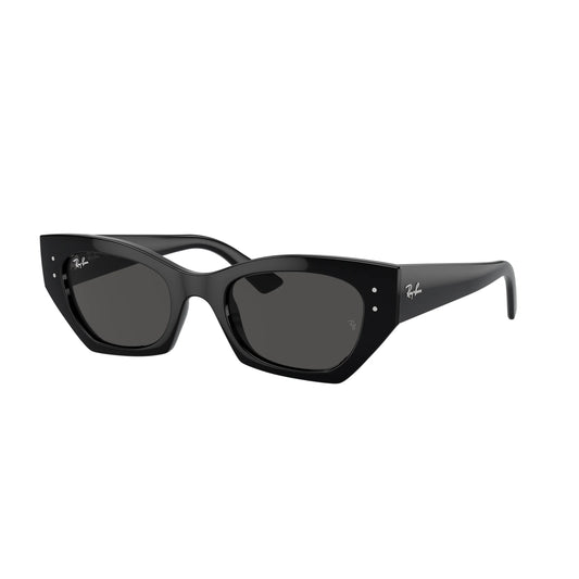 Occhiale da sole Ray-Ban RB4430 6677/87 Black