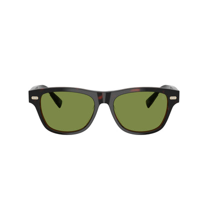 Occhiale da sole Brunello Cucinelli BC3005S 1015/52 Havana Mogano