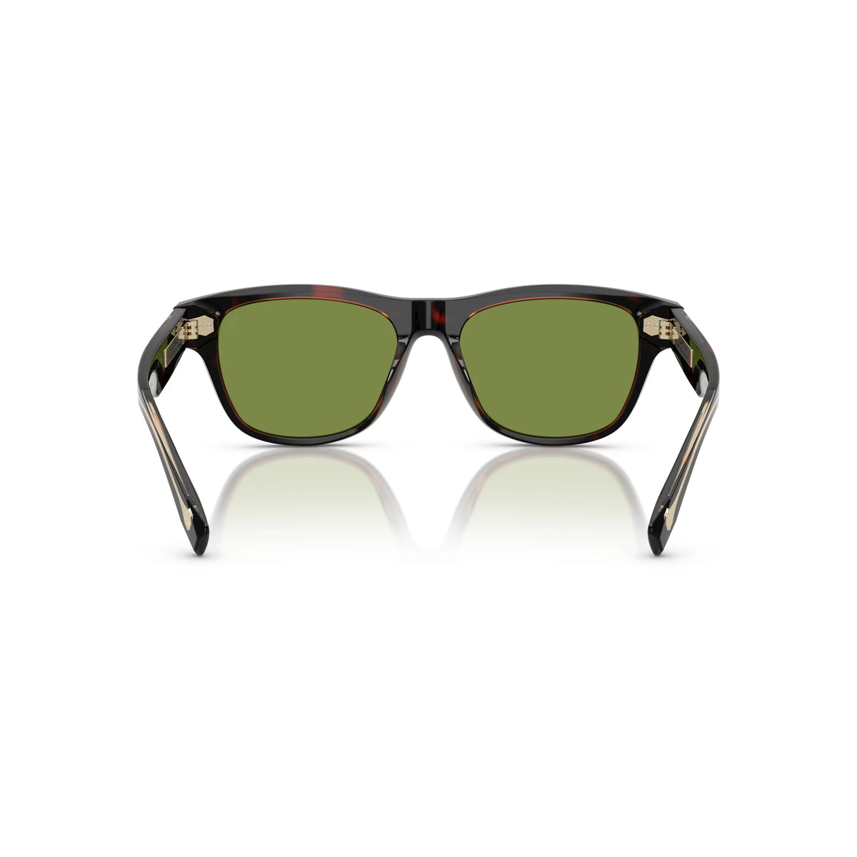 Occhiale da sole Brunello Cucinelli BC3005S 1015/52 Havana Mogano