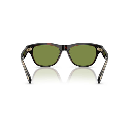 Occhiale da sole Brunello Cucinelli BC3005S 1015/52 Havana Mogano