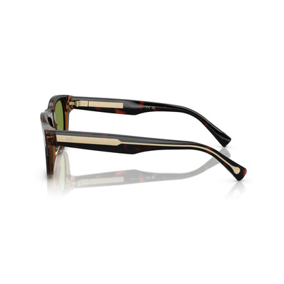Occhiale da sole Brunello Cucinelli BC3005S 1015/52 Havana Mogano