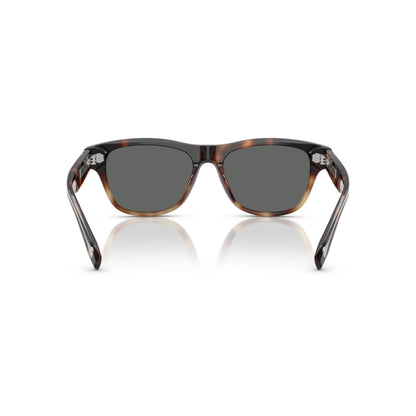 Lunettes de soleil Brunello Cucinelli BC3005S 1025 B1 Havane Tabac