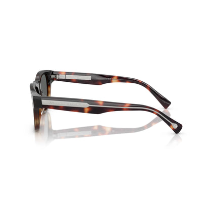 Lunettes de soleil Brunello Cucinelli BC3005S 1025 B1 Havane Tabac