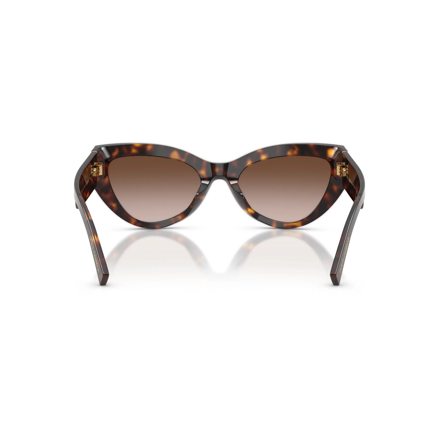 Occhiale da sole Dolce & Gabbana DG4536 502/13 Havana cat-eye