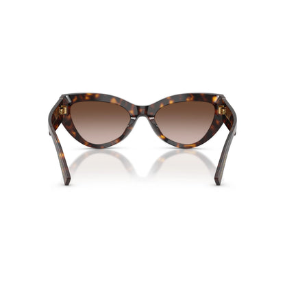 Occhiale da sole Dolce & Gabbana DG4536 502/13 Havana cat-eye