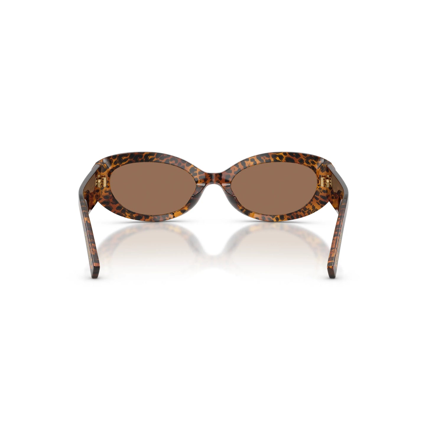 Occhiali da sole Dolce & Gabbana DG4537 347073 Leo Transparent cat-eye