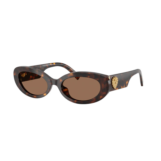 Occhiali da sole Dolce & Gabbana DG4537 502/73 Havana cat-eye