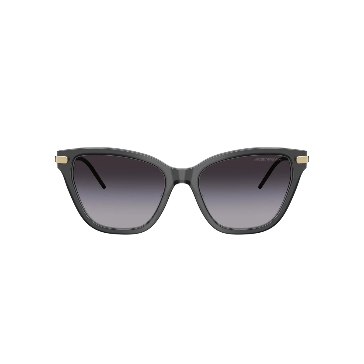 Lunettes de soleil Emporio Armani EA4251 6262/8G Noir