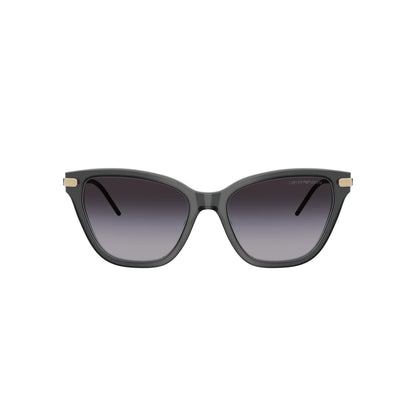 Lunettes de soleil Emporio Armani EA4251 6262/8G Noir