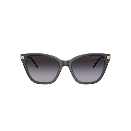 Lunettes de soleil Emporio Armani EA4251 6262/8G Noir