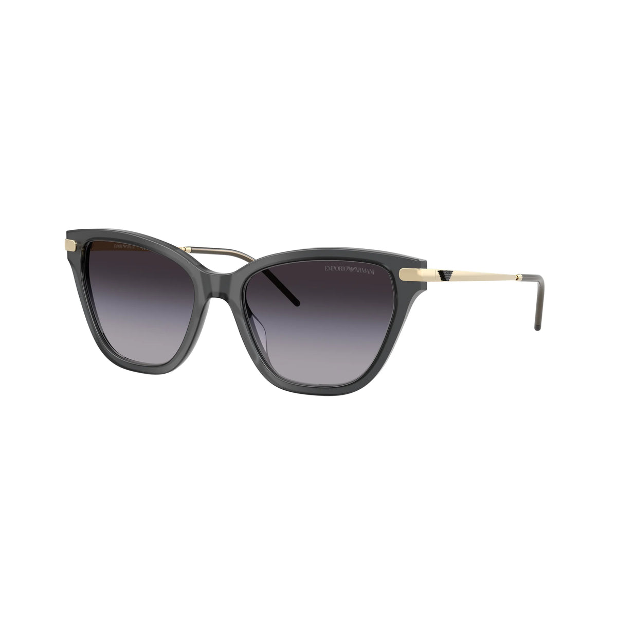 Lunettes de soleil Emporio Armani EA4251 6262/8G Noir