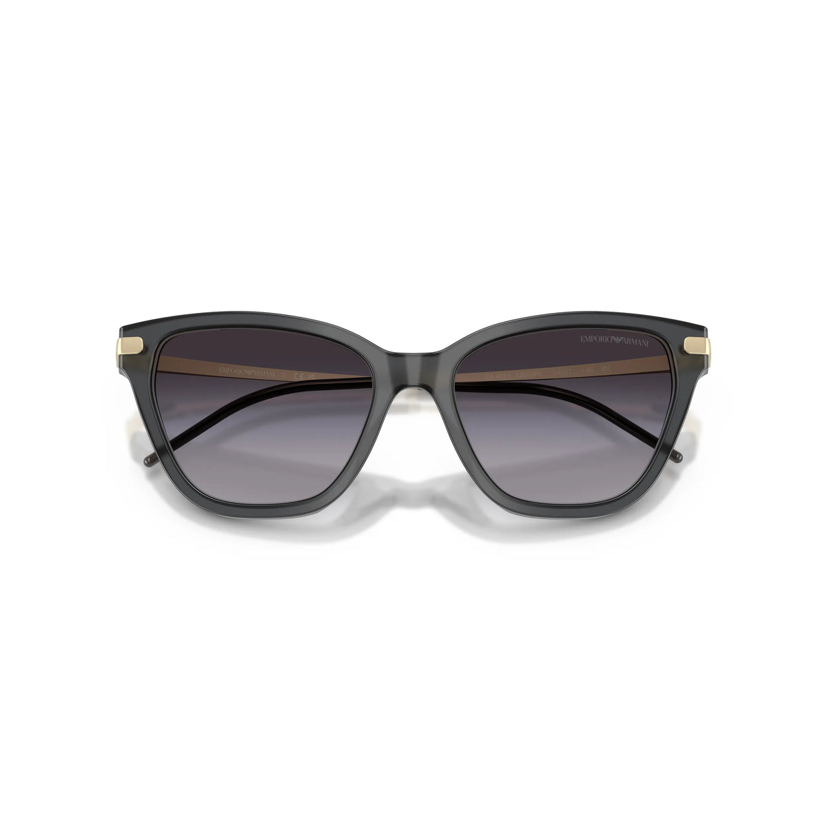Lunettes de soleil Emporio Armani EA4251 6262/8G Noir