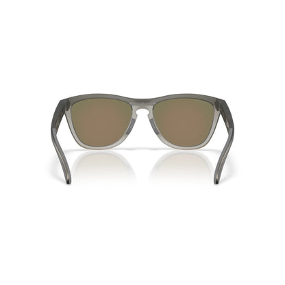 Occhiali da sole Oakley Frogskins Range XL OO9503 950301 Grigio fumo opaco/Inchiostro grigio