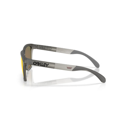 Occhiali da sole Oakley Frogskins Range XL OO9503 950301 Grigio fumo opaco/Inchiostro grigio