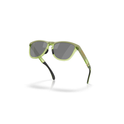 Occhiali da sole Oakley Frogskins Range XL OO9503 950307 Matte Fern Clear Fern
