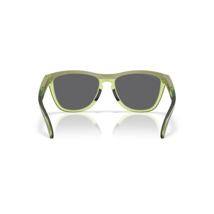 Occhiali da sole Oakley Frogskins Range XL OO9503 950307 Matte Fern Clear Fern