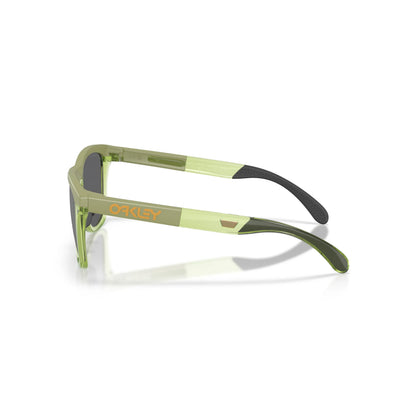 Occhiali da sole Oakley Frogskins Range XL OO9503 950307 Matte Fern Clear Fern