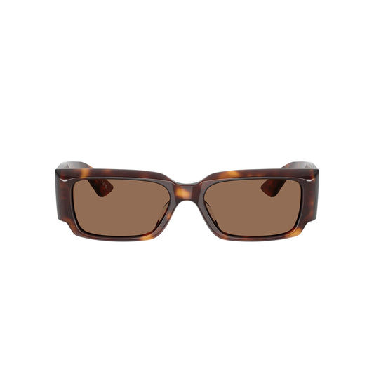 Lunettes de soleil Oliver Peoples OV5583SU 1995c 100773 Turtle