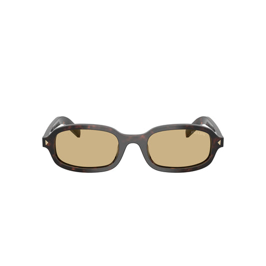 Lunettes de soleil Prada PR D06S 17N70R Root Tortoise Brown ovales