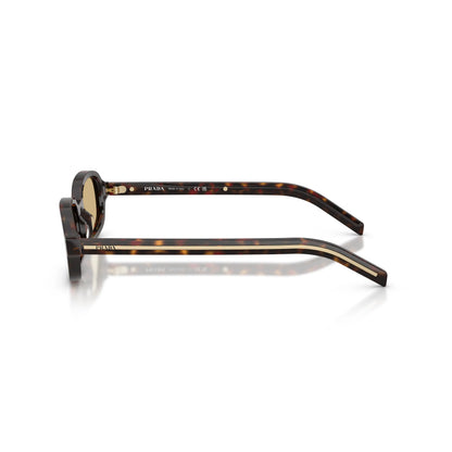 Occhiali da sole Prada PR D06S 17N70R Root Tartarugato Brown ovali