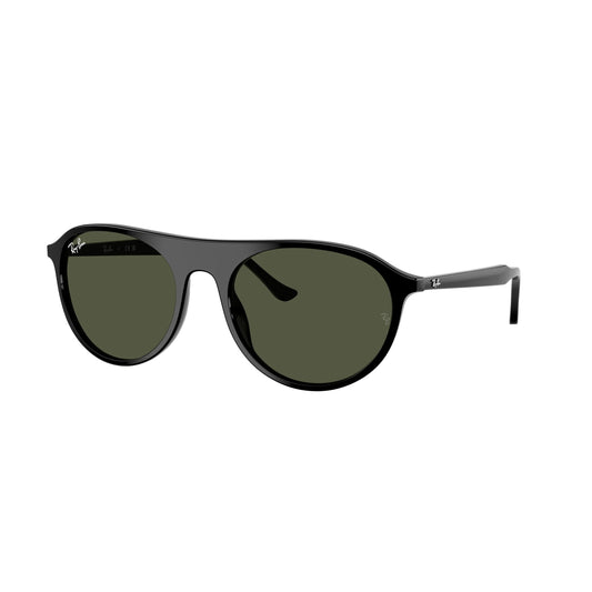 Occhiale da sole Ray-Ban RB2215 901/31 Black