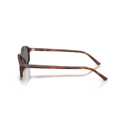 Lunettes de soleil Ray-Ban RB2232 954/62 Striped Havana