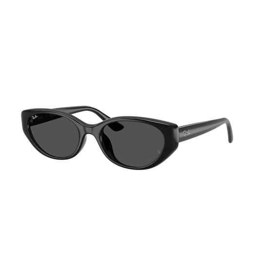 Occhiale da sole Ray-Ban RB4457D 6677/87 Black