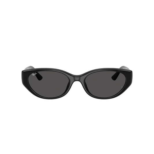 Occhiale da sole Ray-Ban RB4457D 6677/87 Black
