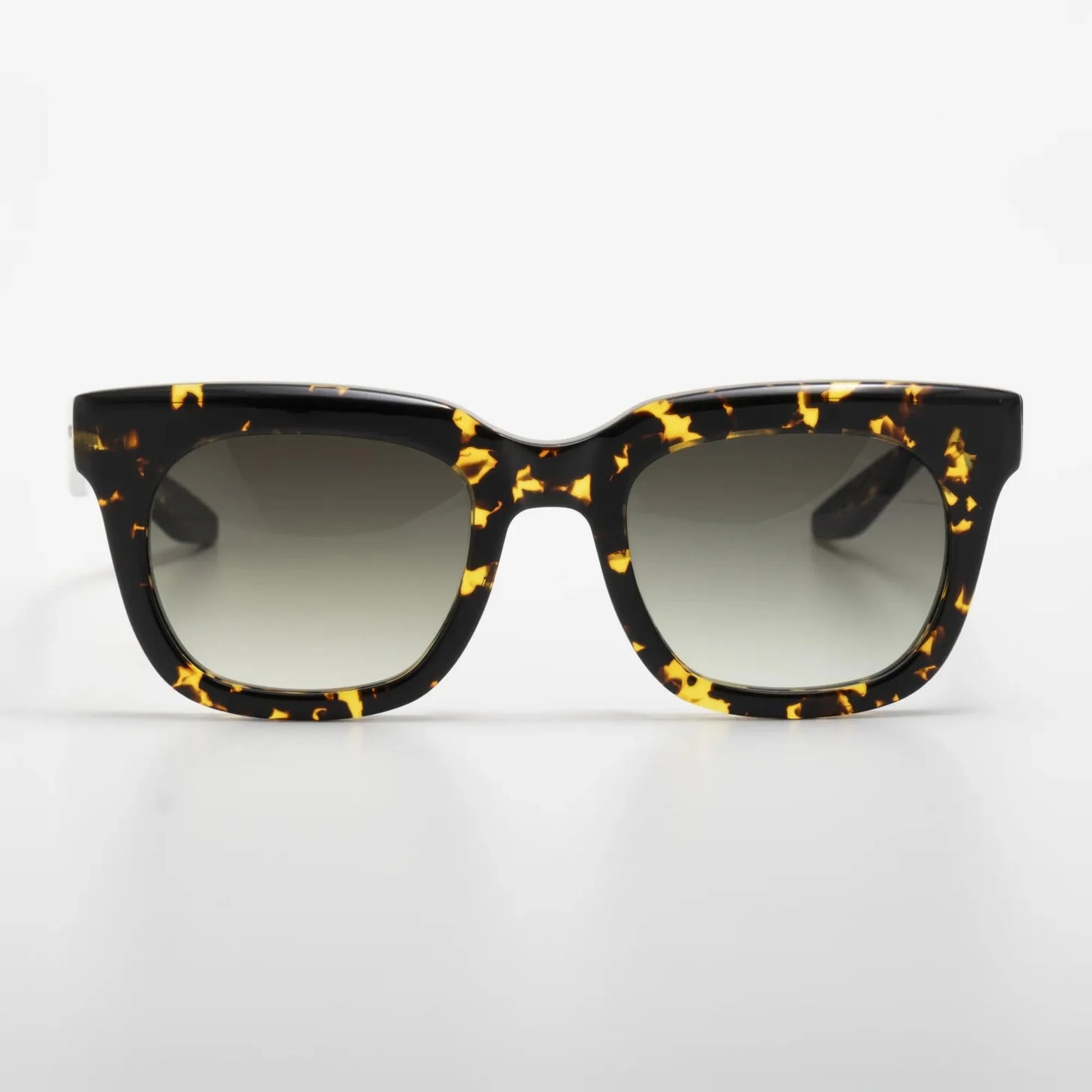 Occhiale da sole Barton Perreira Samo Havana - Shop Ottica Mineo