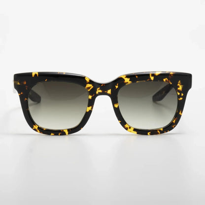 Occhiale da sole Barton Perreira Samo Havana - Shop Ottica Mineo